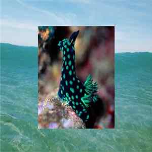 ????????????????????????????????????????, for ◄Soothing, Slithering► - Slow Down mp3