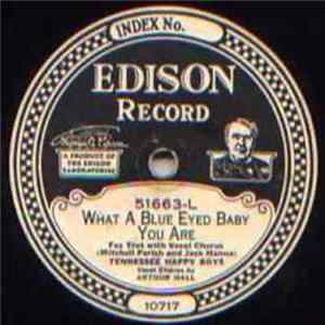 Ernie Golden And His Orchestra / Tennessee Happy Boys - Sunny / What A Blue Eyed Baby You Are mp3