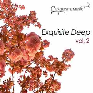Various - Exquisite Deep Vol. 2 mp3