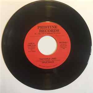 Opus Wake - Tantanka Land / Listening Wind mp3