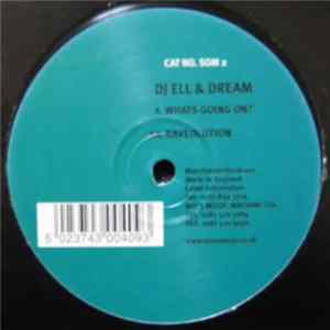 DJ Ell & Dream - Whats Going On? / Raveolution mp3