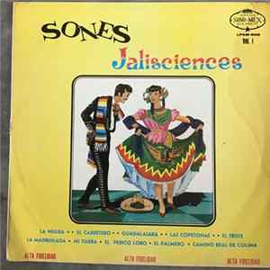 Mariachi Nuevo Tecalitlan - Sones Jalisciences mp3