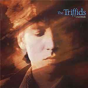 The Triffids - Calenture mp3
