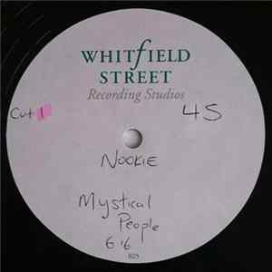 Nookie Featuring Larry Heard - Mystical People mp3