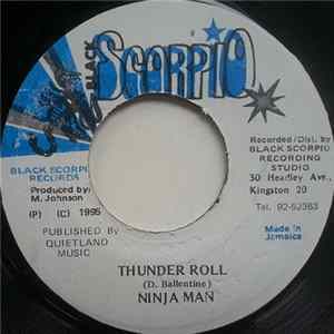 Ninja Man - Thunder Roll mp3