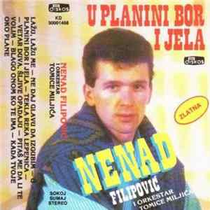 Nenad Filipović, Orkestar Tomice Miljića - U Planini Bor I Jela mp3