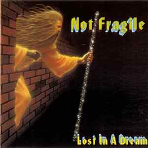 Not Fragile - Lost In A Dream mp3