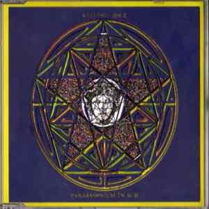 Killing Joke - Pandemonium In Dub mp3