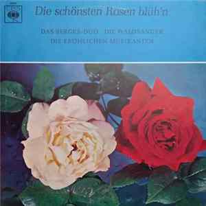 Das Friedl Berger-Duo, Die Waldsänger, Die Fröhlichen Musikanten - Die Schönsten Rosen Blüh'n mp3