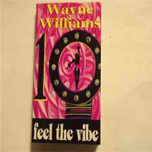 Wayne Williams - Feel The Vibe mp3