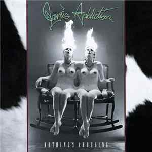 Jane's Addiction - Nothing's Shocking mp3