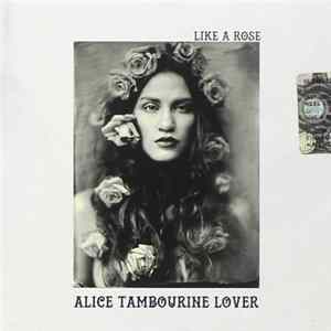 Alice Tambourine Lover - Like A Rose mp3