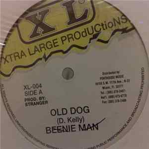 Beenie Man - Old Dog mp3