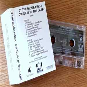 JT The Bigga Figga - Dwellin' In Tha Labb mp3