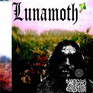 My BOY Constrictor - Lunamoth mp3