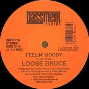Loose Bruce - Feelin' Moody mp3