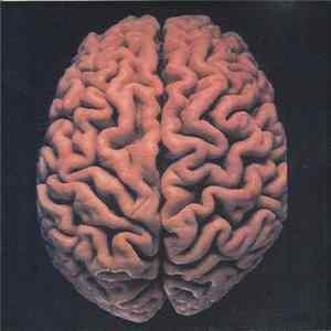 MINDPHYX - MINDPHYX mp3