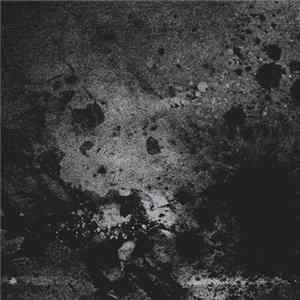 Swarms - The Silver Hour mp3