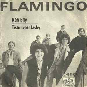 Flamingo , Marie Rottrová - Kůň Bílý / Tisíc Tváří Lásky mp3