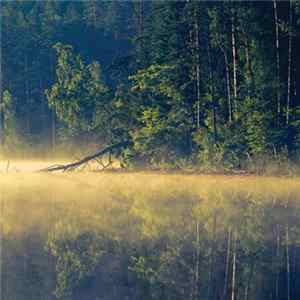 Oneirogen - Plenitude mp3