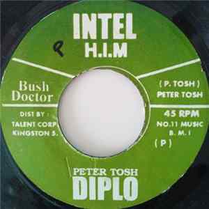 Peter Tosh / Missy Elliott, Elephant Man - Bush Doctor / Keep It Movin mp3