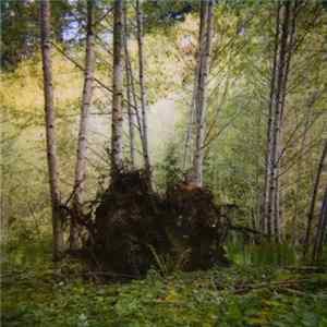 Benoit Pioulard - Stanza II mp3