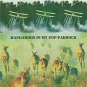 The Cakekitchen - Kangaroos In My Top Paddock mp3