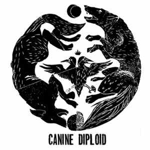 Canine , Diploid - Canine / Diploid mp3