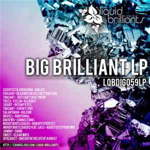 Various - Big Brilliant LP mp3