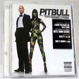 Pitbull - Rebelution mp3