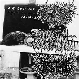 Vesicoureteral Reflux, Human Offal Concealment, ROTTENCROTCH - Split mp3