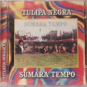 Tulipa Negra - Súmara Tempo mp3