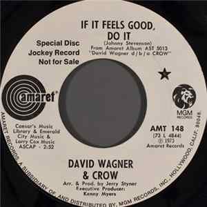 David Wagner & Crow - If It Feels Good, Do It mp3