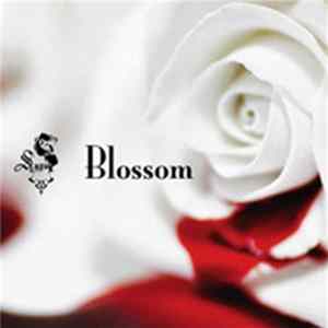 Sugar - Blossom mp3