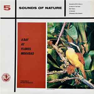 W. W. H. Gunn - A Day At Flores Moradas mp3
