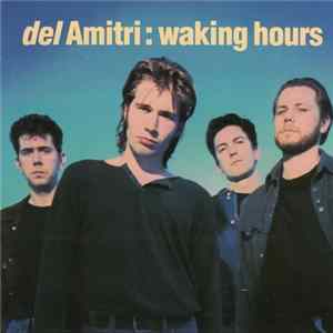 Del Amitri - Waking Hours mp3