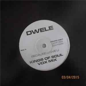 Dwele - Because I Love You mp3