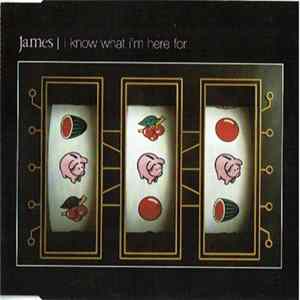 James - I Know What I'm Here For mp3