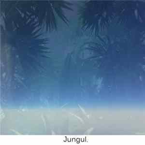 Patterns Of The Sky - Jungul. mp3