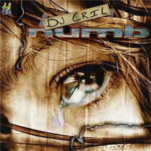 DJ Cril - Numb mp3