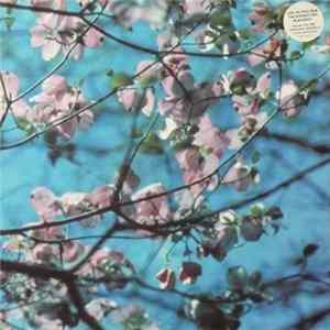 Joel R. L. Phelps & The Downer Trio - Blackbird mp3