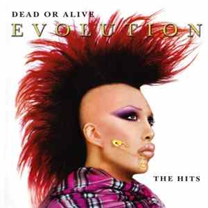 Dead Or Alive - Evolution - The Hits mp3