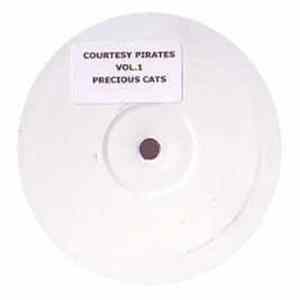 Blaze Vs Praise Cats - Precious Love / Shined On Me mp3