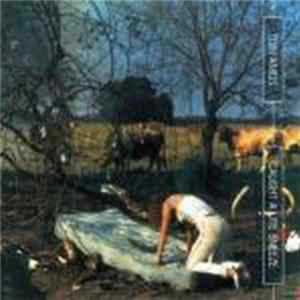 Tori Amos - Caught A Lite Sneeze mp3