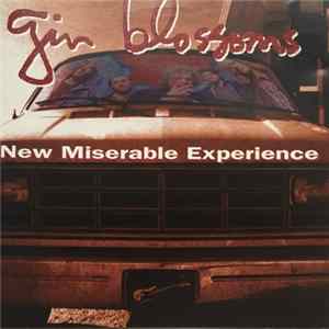 Gin Blossoms - New Miserable Experience mp3