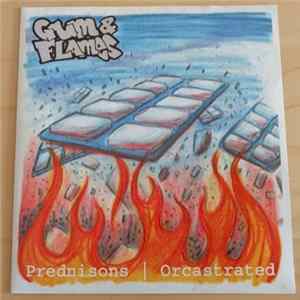 Prednisons / Orcastrated - Gum & Flames mp3