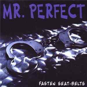 Mr. Perfect - Fasten Seat-belts mp3