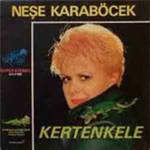 Neşe Karaböcek - Kertenkele mp3
