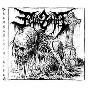Fetid Zombie - Remnants Of Life mp3