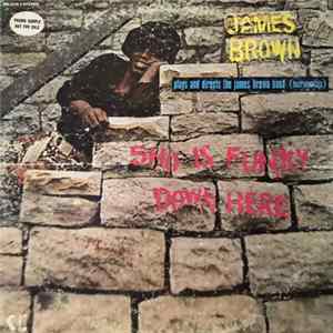 James Brown Plays And Directs The James Brown Band - Sho Is Funky Down Here mp3